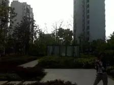 品质小区 仁恒物业 四开间朝南 南北通户型 景观楼层