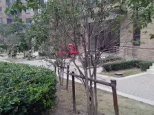 总有一套房子,能触碰你内心深处的柔软,轻轻地它来了