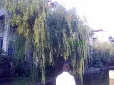 税费少,面积大,总价低,电梯复式,有露台,不靠路。