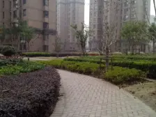 9号佘山站旁,南北通两房改三房,业主置换,出价可谈