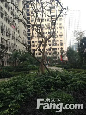 叠彩城爱琴庄园