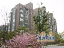 近前滩+新杨思+万科品质+诚意卖+价格可以谈+看房方便