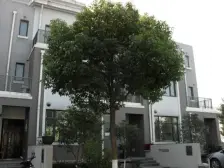 汇金地铁口400米电梯三房,包含罕见的地下产权车位