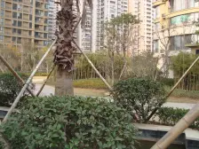 丰和新城南苑,新装修,婚房出售,急售