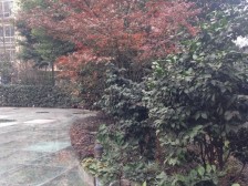 富抱泉花园 5室1厅 南