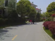 棕榈泉花园,醉大花园,醉诚意售