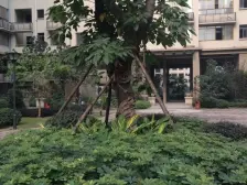 爱琴庄园 3室1厅 东