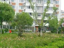 锦博苑新上两房毛坯清水房,业主心态接受市场价
