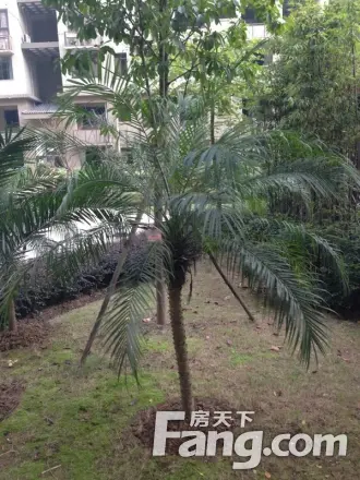 叠彩城爱琴庄园