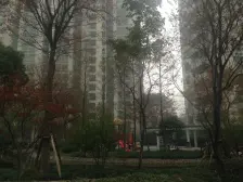枫景大三房!南北通透,户型方正,视野开阔,诚意出售