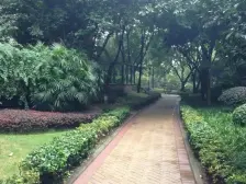 大坪 协信云栖谷一房66万