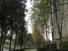 鸳鸯 复地上城二房120万