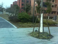 滴水湖馨苑二期 4室2厅 南