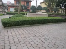 高新区科学城,高品质双拼别墅,户型采光好