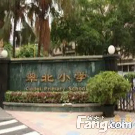 阳光天地