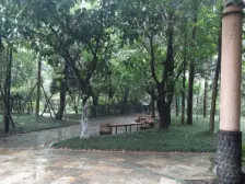 小区环境好 位置好 装修好 采光佳