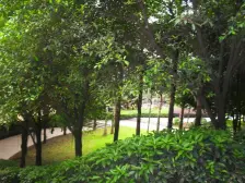 鲁能星城品质楼盘+轻轨公园*近+朝南+有楼顶花园+洋房