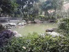 步行街 锦天国际二房56万