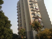 莘庄·上海莘城·2室·2厅