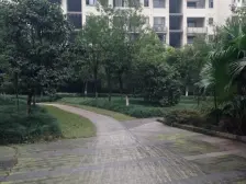 金和苑 2室1厅 东南