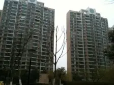 毓秀电梯大3房飞机户型楼下公园 视野开阔