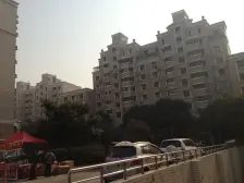 南广场大平层+①号线莘庄+改善四房