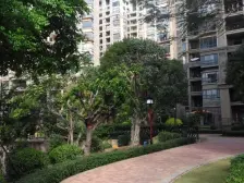 丽景名筑 3室2厅 南