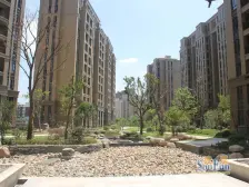 人车分流 电梯好楼层 业主诚意 品质刚需两房
