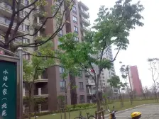 地铁口方正大三房,商圈诚信出售,看房方便