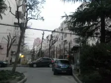 曹杨五村(南杨园) 1室0厅 东