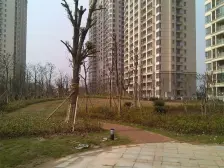 保利东湾国际 一线江景 三层 空中别墅