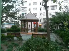 曹杨五村(南杨园) 1室0厅 东