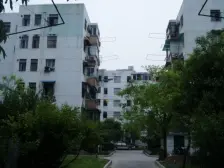梅陇四村 1室1厅 东南