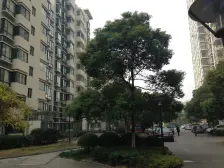 汇丽花园 1室1厅 南