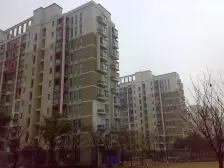 浦江世博家园八街坊 2室1厅 南 北