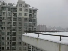 奥塞花园 1室2厅 南 北