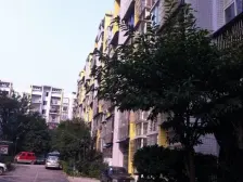 小区绿化环境好,生活物资购买方便 ,低总价