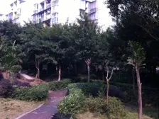 小区绿化环境好,生活物资购买方便