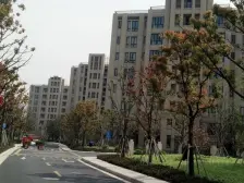 青浦标杆小区 仁恒开发 满五年 有产权车位 看房随时
