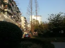 大宁·宁和小区·1室·1厅
