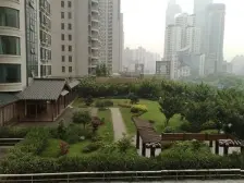 徐家汇区域,繁华。北面是徐家汇花园。