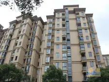 鼎鑫名流苑电梯南北2房