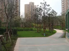 近地铁,产权清晰,电梯房 精装 新上房源