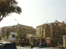 金桥·新城碧翠·4室·3厅