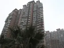 宝d东小南北通全明两房,业主诚意出售