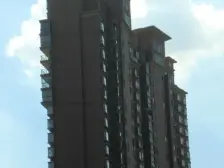 南,2012年次新房中高楼层采光无遮挡户型正气