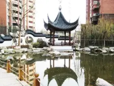 一梯一户、半人车分流、入户送10平、实惠且诚意!中环改善必看