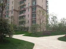 张江南,近地铁,大三房,品质小区,人车分流