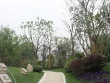 密度低,品质高。小区环境优美,四面林河