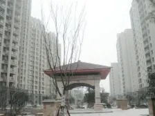 铭邦华府 3室1厅 南